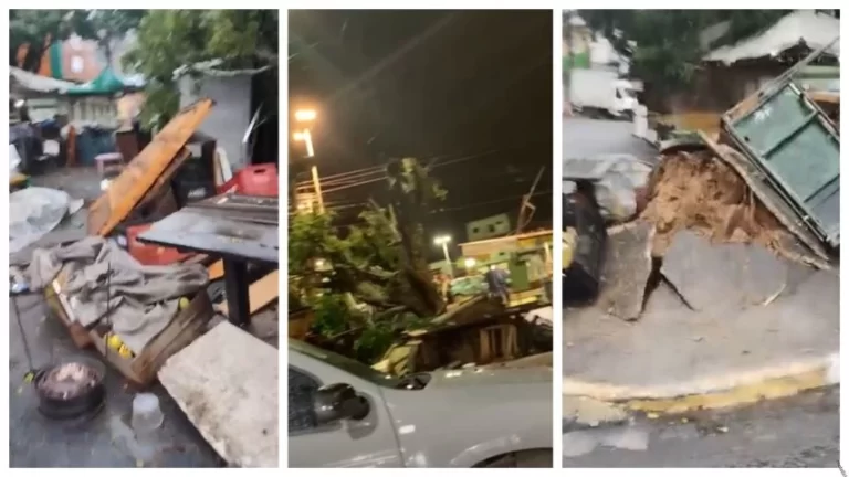“DERRUBOU TUDO”: Chuva provoca queda de árvore em feira de Simões Filho
