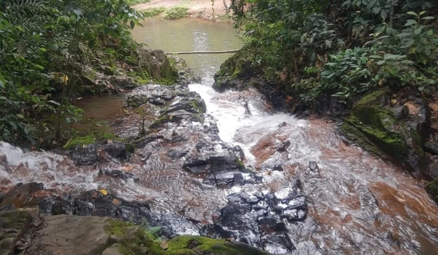 Simões Filho - Simões Filho reforça preservação ambiental com cuidado aos parques ecológicos durante Semana do Meio Ambiente