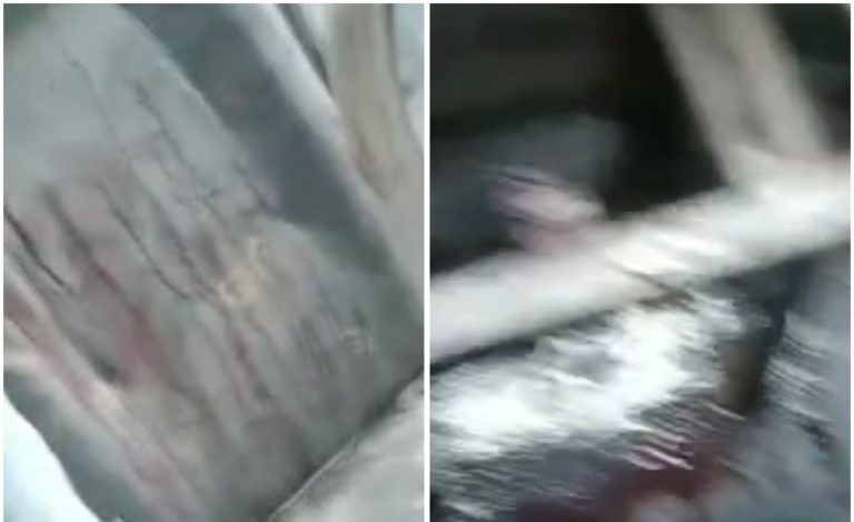 NO ROSTO E PESCOÇO: Adolescente é esfaqueado dentro de ônibus escolar em Candeias