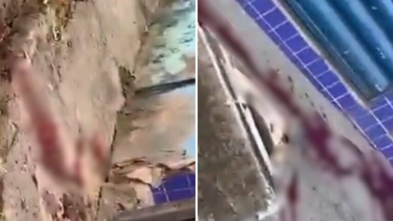 ATAQUE NO ALTO DE COUTOS: Trabalhador e bandido baleados em frente a padaria