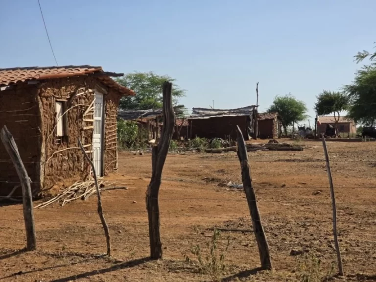 ALERTA AMBIENTAL! Quatro cidades baianas enfrentam clima árido e vivem os efeitos da desertificação