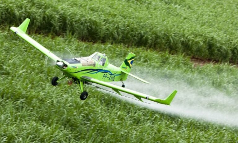 Governo realiza operação para o combate à comercialização eletrônica irregular de produtos agropecuários