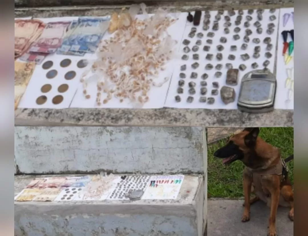 Cães Farejadores da PM localizam drogas em Santa Cruz de Cabrália