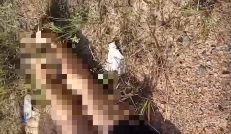 Tiros e corpo de mulher encontrado na Estrada do Cetrel