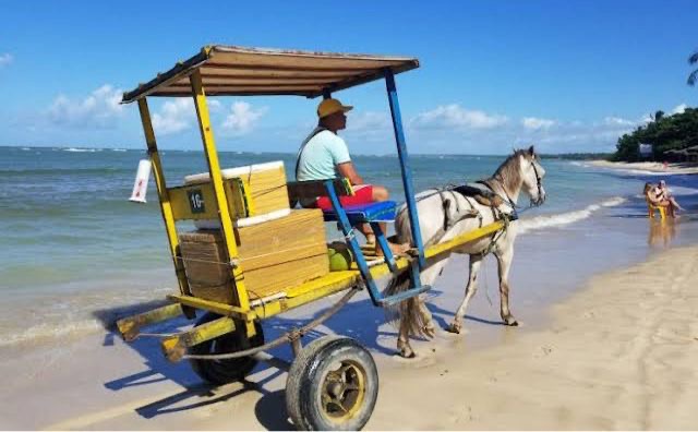 Prefeitura de Cairú decide suspender passeios de charretes com cavalos em Morro de São Paulo