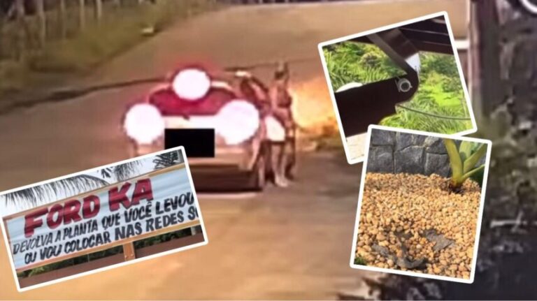 “DEVOLVA A PLANTA”: Homem viraliza na web após fazer ‘exposed’ de furto inusitado