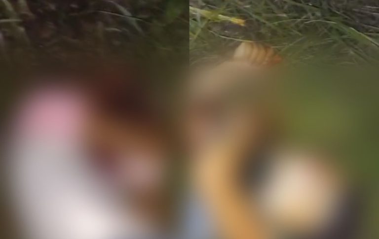 DUPLO HOMICÍDIO: Dois jovens mortos a tiros na BR-324