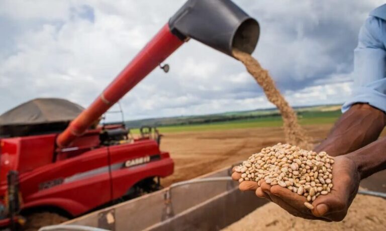 Produção de grãos deve crescer 14% e chegar a 340 milhões de toneladas