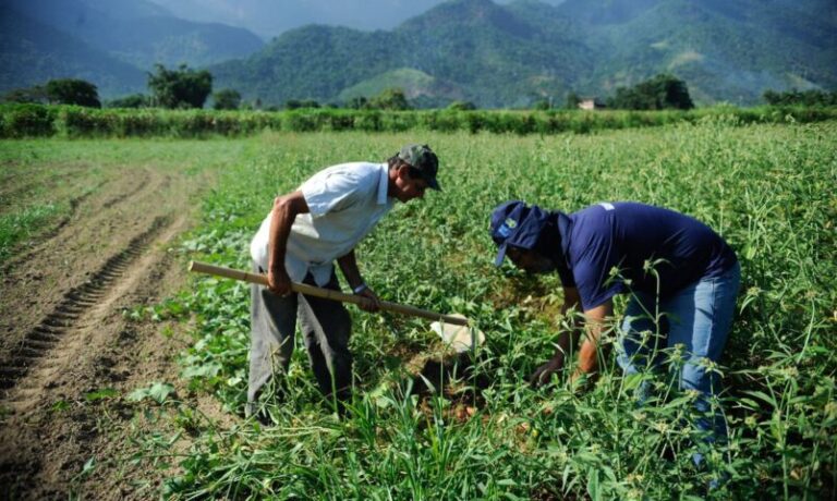 Fórum Estadual de Gestores da Agricultura inicia na próxima terça-feira