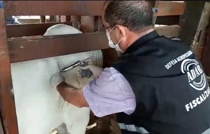 Governo publica edital de concurso público para 160 vagas na Agência Estadual de Defesa Agropecuária da Bahia