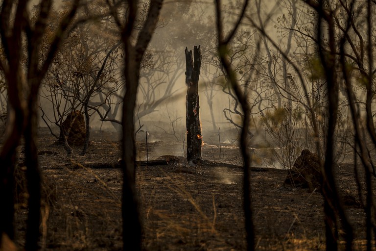 Amazônia tem 2,5 milhões de hectares queimados em agosto