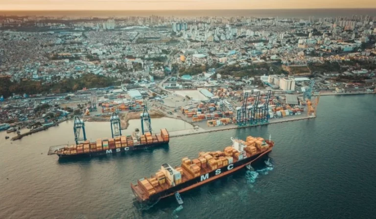 Exportação de pescados é suspensa e contêineres travam no Porto de Salvador após tarifa dos EUA