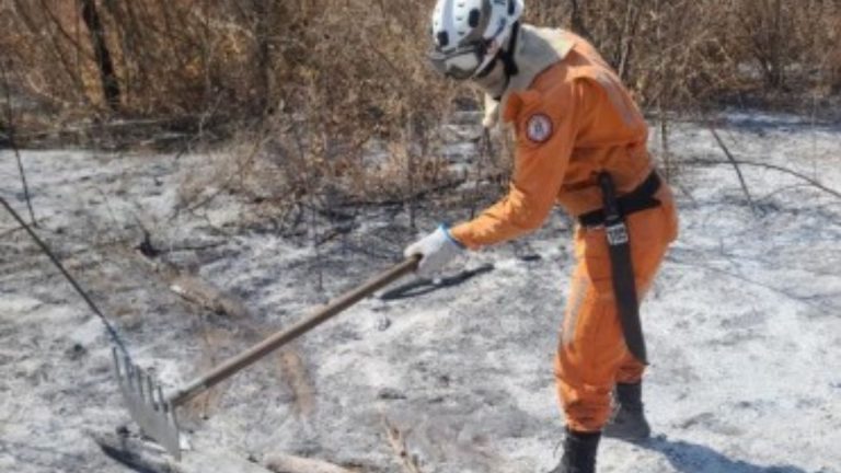 Florestas de Luís Eduardo Magalhães e em Bom Jesus da Lapa pegam fogo; bombeiros são acionados