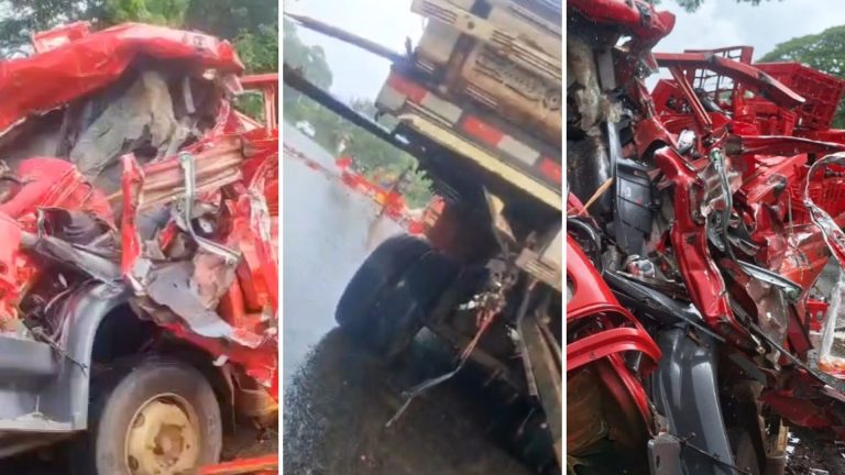 TRAGÉDIA NA ESTRADA! Caminhão de cervejaria é atingido e três trabalhadores morrem na BR-415