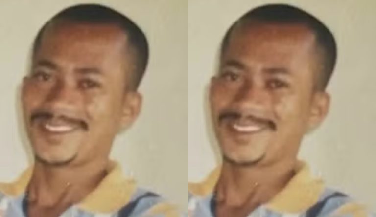 NORTE DA BAHIA: Homem morre após ser atacado por abelhas em Irecê