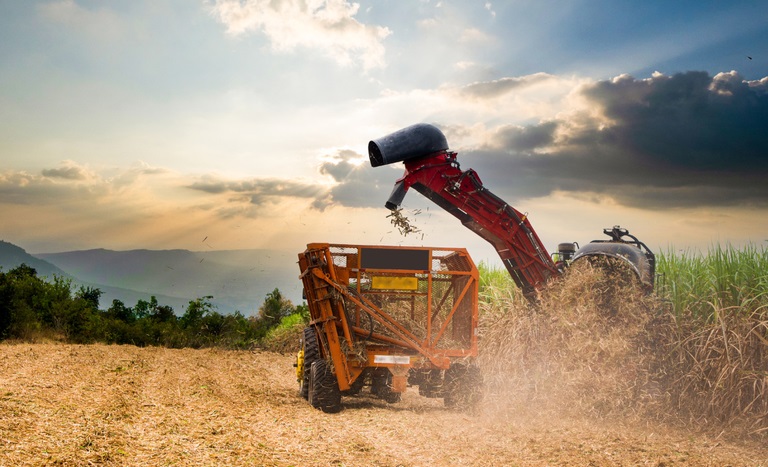 Exportações do agronegócio brasileiro batem recorde histórico em julho