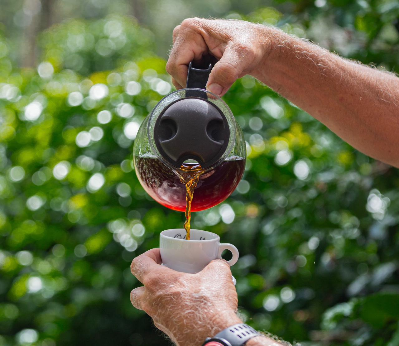 Café - Segunda edição da Feira Baiana de Cafés Especiais ocorre neste fim de semana