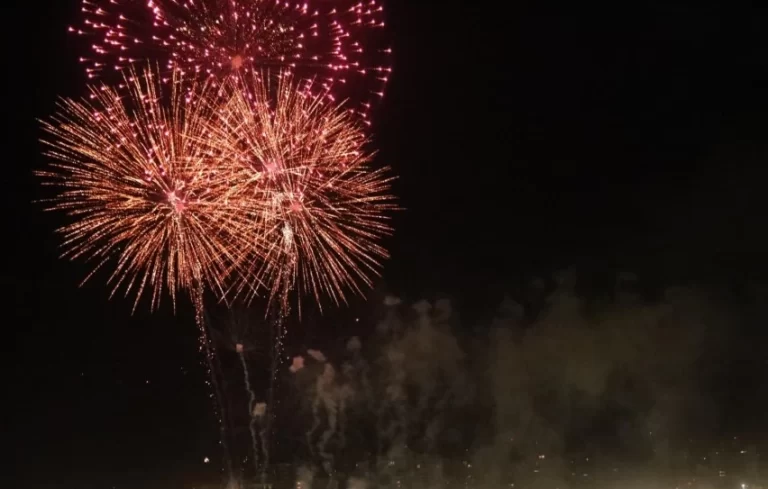 Fogos de artifício oferecem risco à saúde dos animais durante festejos juninos
