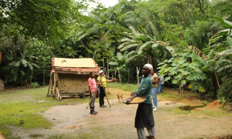 Bahia é o estado com maior número de quilombolas e segundo maior de indígenas