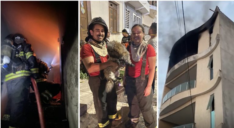 SERRINHA: Bombeiros salvam cachorro e debelam incêndio em AP