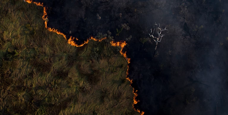 Desmatamento na Amazônia cresce 8,4% e incêndios disparam 245% em 2025, aponta Inpe