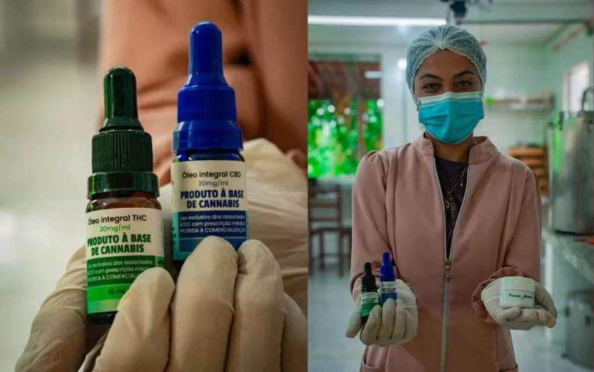 Justiça permite cultivo e produção de cannabis medicinal por associação na Chapada Diamantina