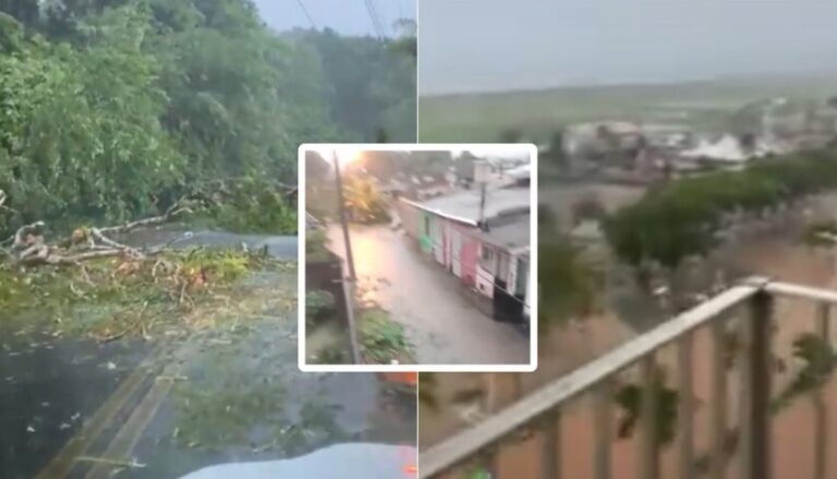 CHUVA EM ILHÉUS: Temporal provoca alagamentos e quedas de árvores