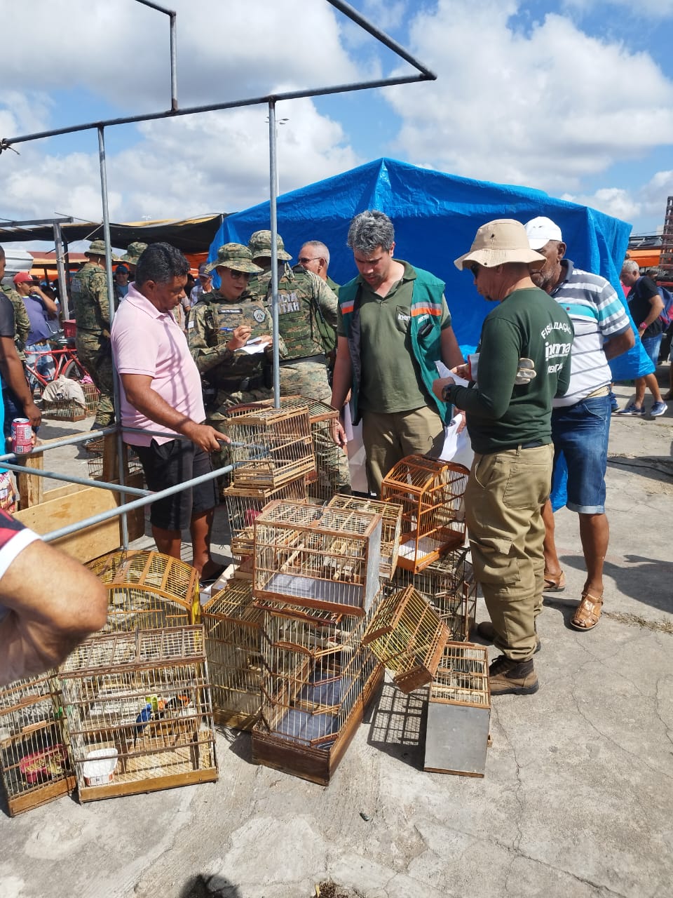 - PAULO AFONSO: Operação prende dez pessoas e apreende dois adolescentes por comércio ilegal de aves