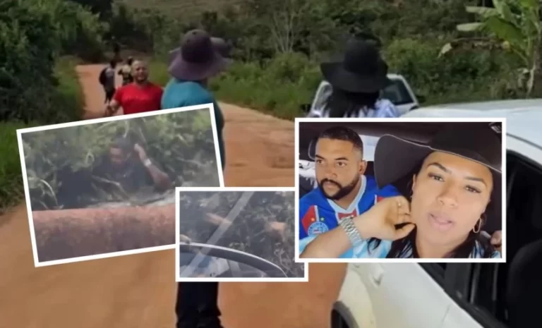 ATAQUE DE ABELHAS: Prefeita do interior baiano consegue escapar e servidor ‘Bactéria’ entra no rio; assista