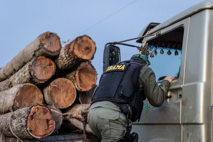 Servidores do Ibama prometem suspender fiscalização ambiental