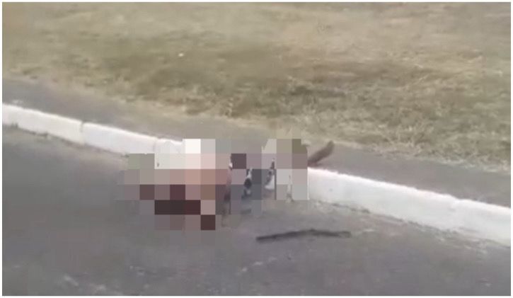 MUITA BALA: Homem é morto com dezenas de tiros em Cajazeiras V