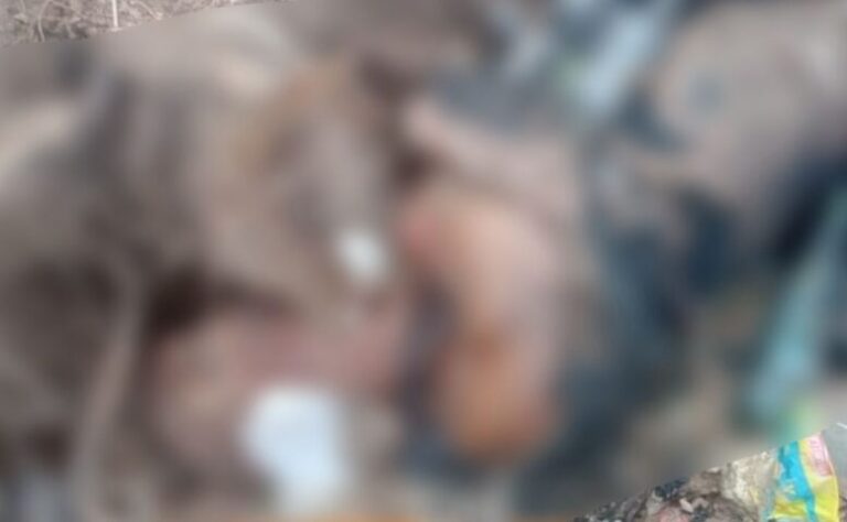 Corpo de homem é encontrado parcialmente queimado em lixão de Periperi