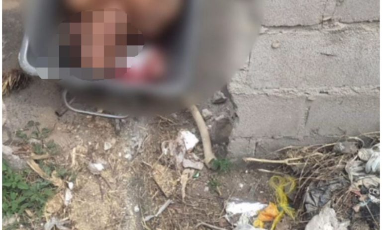DENTRO DO MATAGAL: Homem é morto a tiros por criminosos em Feira de Santana