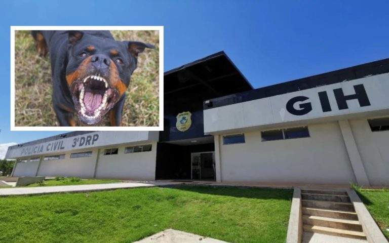 QUERIA ESTUPR@R O CACHORRO: Homem invade casa e é atacado por rottweiler