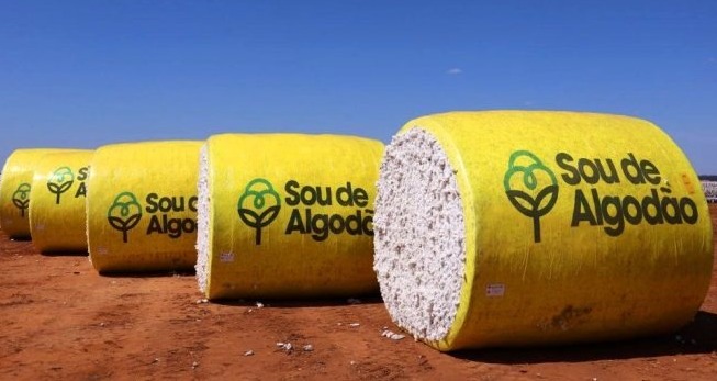 Safra de grãos 2024 mantém previsão de queda na Bahia