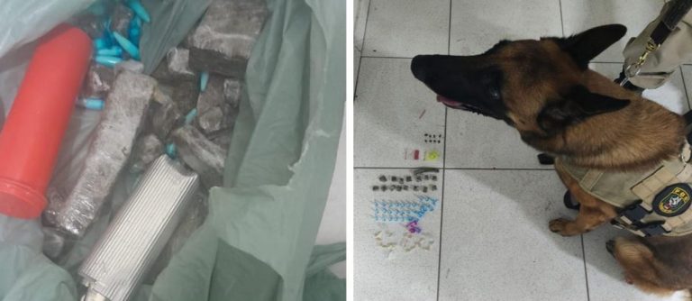 Cão policial localiza drogas em Santa Cruz Cabrália