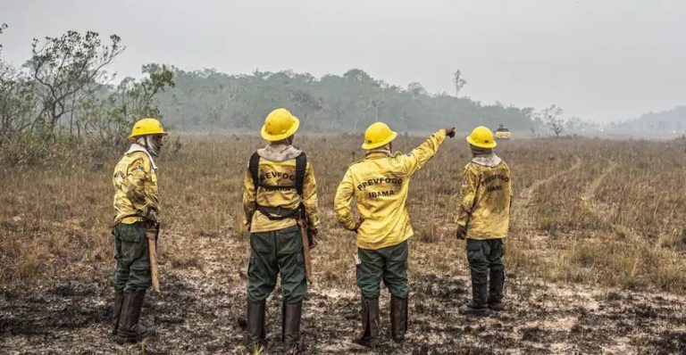 Dino estabelece orçamento de emergência para combate a incêndios