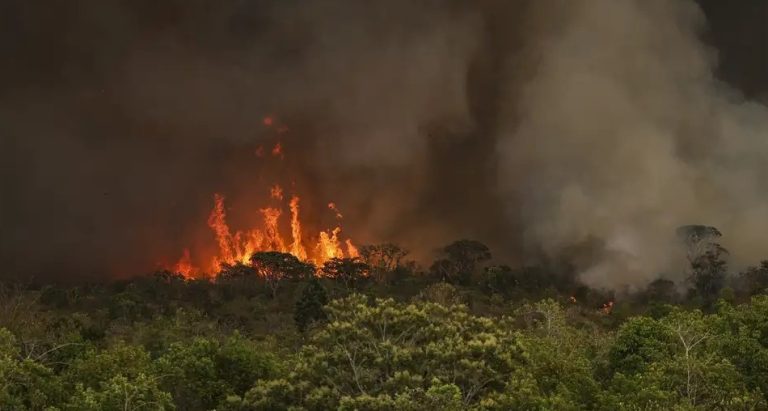 Incêndios podem ter afetado mais de 11 milhões de pessoas no Brasil
