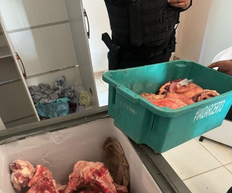 Mulher é presa em flagrante pelos crimes de receptação e contra saúde pública