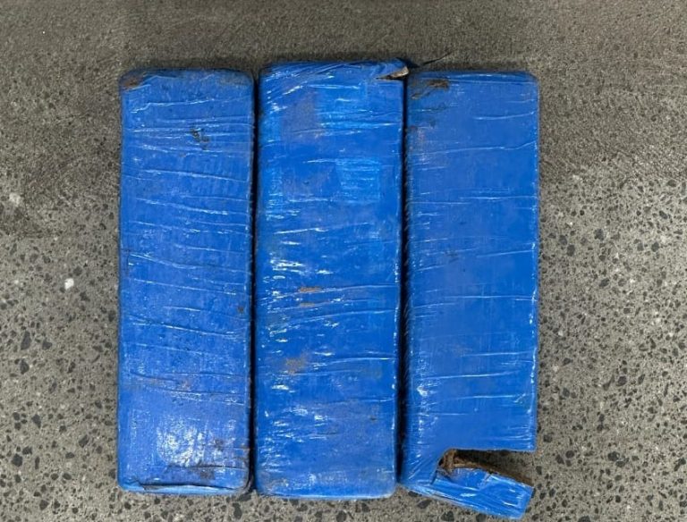 Polícia Militar encontra tabletes de maconha enterrados em Jequié