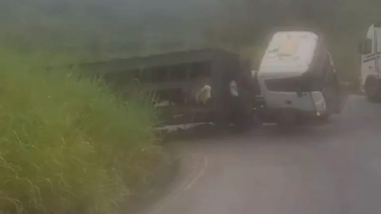Acidente na Serra do Marçal: Carreta boiadeira tomba e causa interdição parcial da BA-263