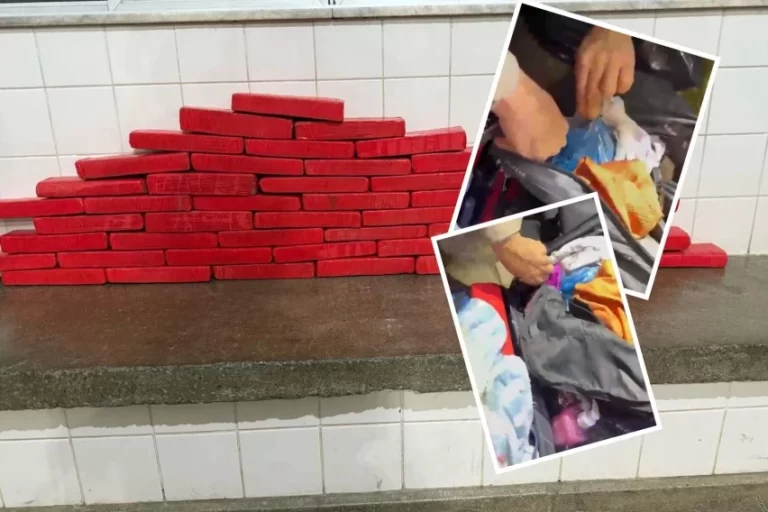 FLAGRANTE NO SUDOESTE! Abordagem do TOR apreende 26 quilos de maconha em ônibus de turismo