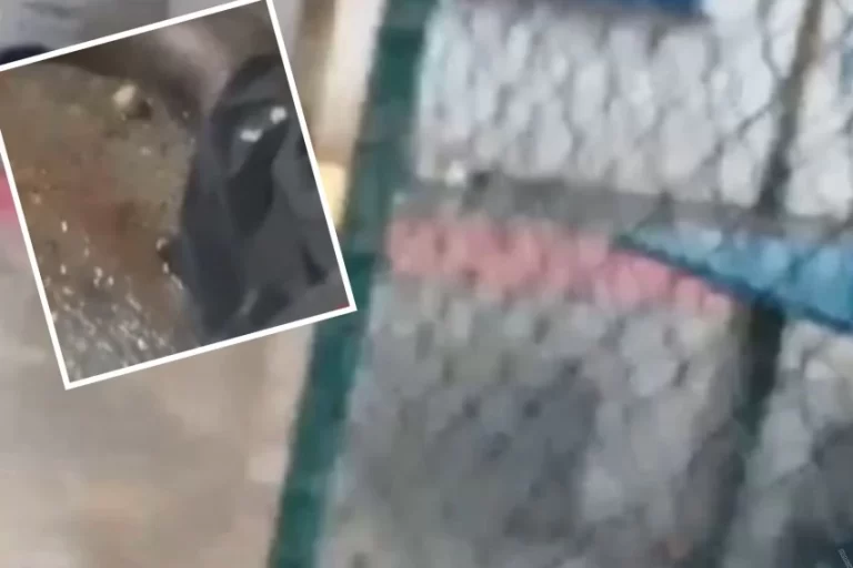 DE MANHÃ CEDO: Homem baleado em Narandiba não resiste