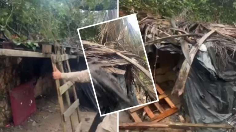 PM destrói acampamento do tráfico em área de mata no bairro de Valéria