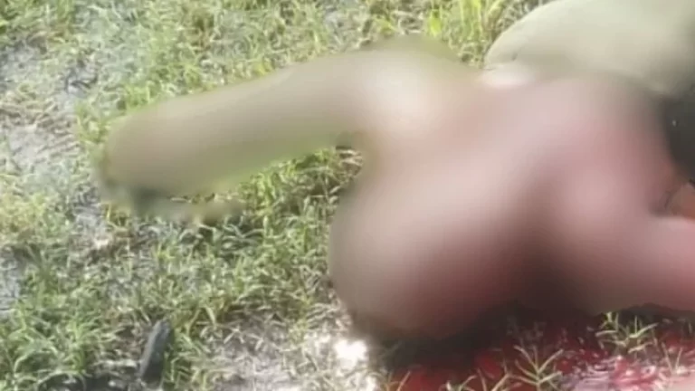 CANDEIAS: Corpo de mulher é encontrado com marcas de tiros