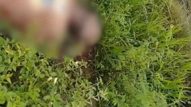 CRIVADO DE BALAS: Corpo é achado em matagal na região de Arembepe