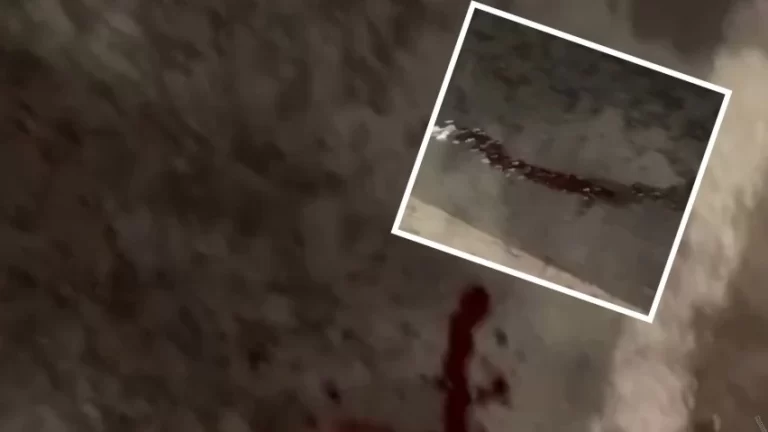 Suspeito de assalto é morto à bala em Itacaranha
