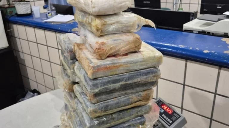 ENTERRADOS EM MATA: Mais de 28 kg de pasta base de cocaína são encontrados em Nova Viçosa