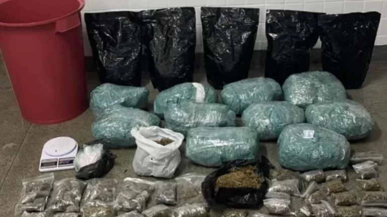 Feira de Santana: Mulher é presa com “boca de fumo” recheada no Parque Ipê