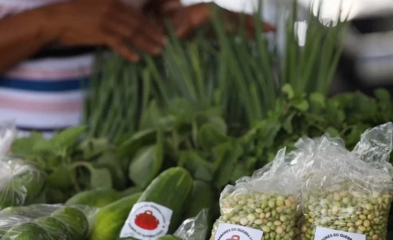 Do campo para a tela: Seagri oferece serviço de cotações agrícolas nas redes sociais